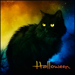 Halloween и черный кот