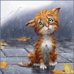 Несчастный котенок под осенним дождем