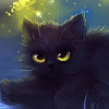 Глазастый черный кот