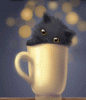 Котенок в чашке