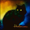 Halloween и черный кот